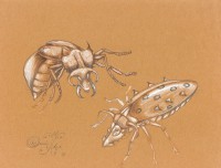 /album/la-tlapaleria-de-la-esquina/el-animal-de-la-comezon-2-jpg/